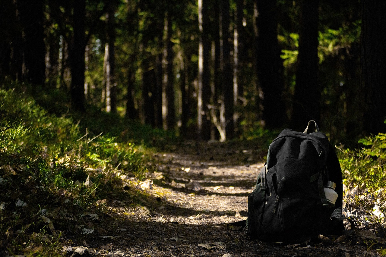 Escursionista che esplora un sentiero nella natura selvaggia, circondato da alberi e paesaggi verdi.