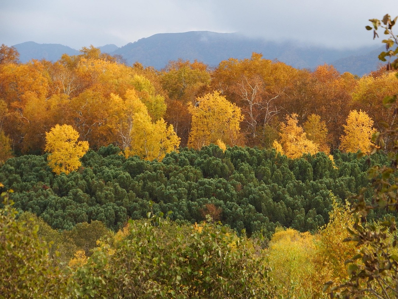 Panorama di un paesaggio naturale che mostra il cambiamento dei colori tra primavera e autunno.