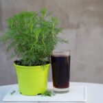 Fertilizzante liquido fai da te in bottiglia, ricetta ecologica e economica per piante sane.