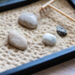 Giardino zen fai da te con sassi, sabbia e piante, ideale per rilassarsi e meditare.
