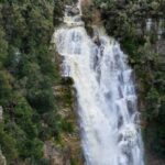 Cascate trentine immerse nella natura, vista spettacolare con acqua che scorre tra le rocce.