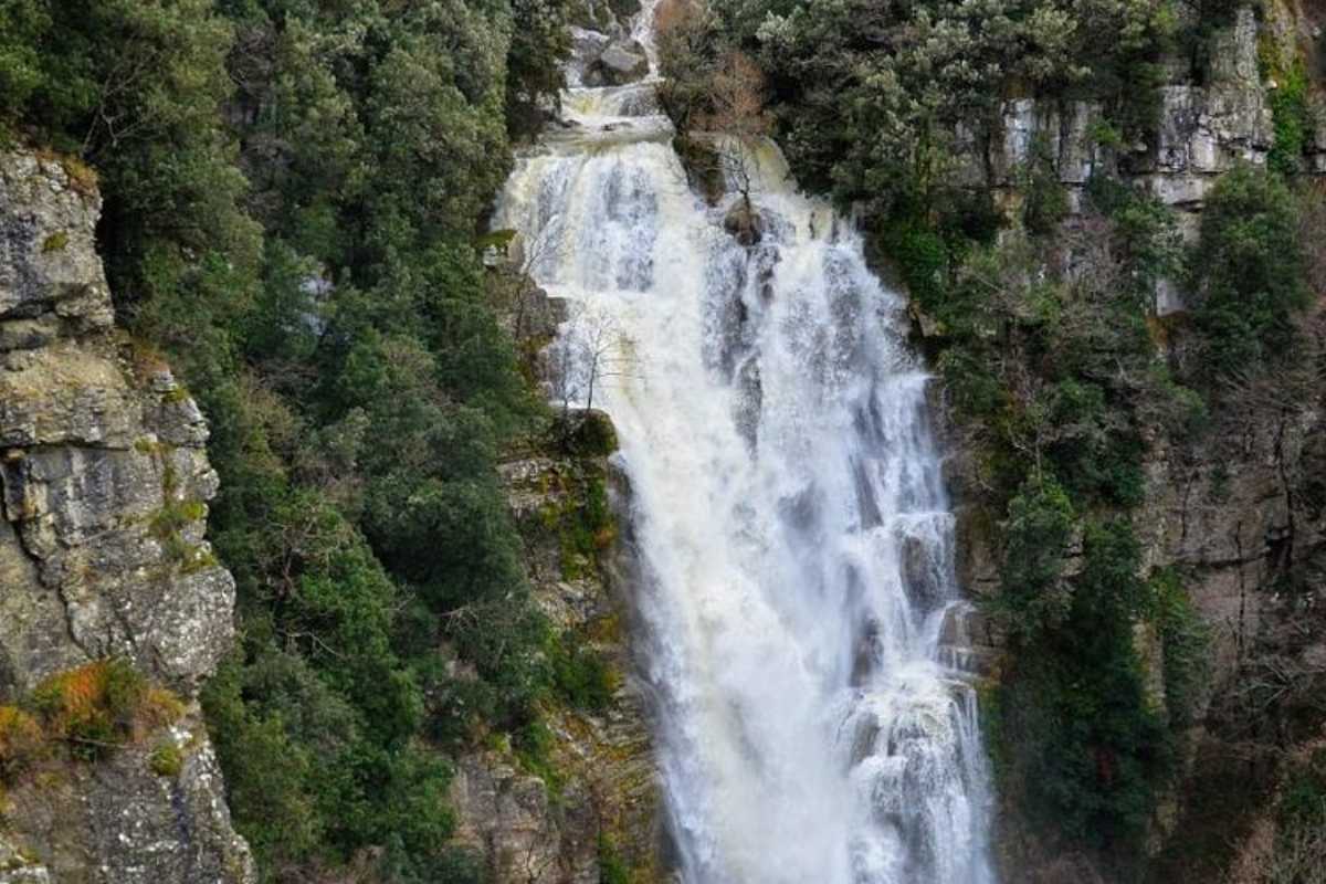 Cascate trentine immerse nella natura, vista spettacolare con acqua che scorre tra le rocce.