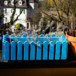 Immagine di un balcone con diverse piante verdi e fiorite pronte per la primavera.